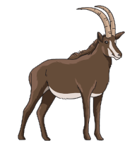 Gif animé antilope marron